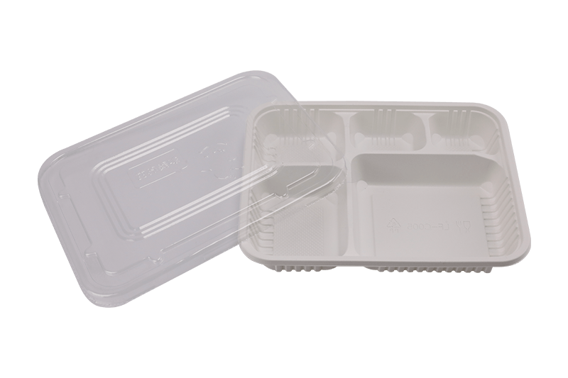 Milieuvriendelijke Black Five Grid-lunchbox